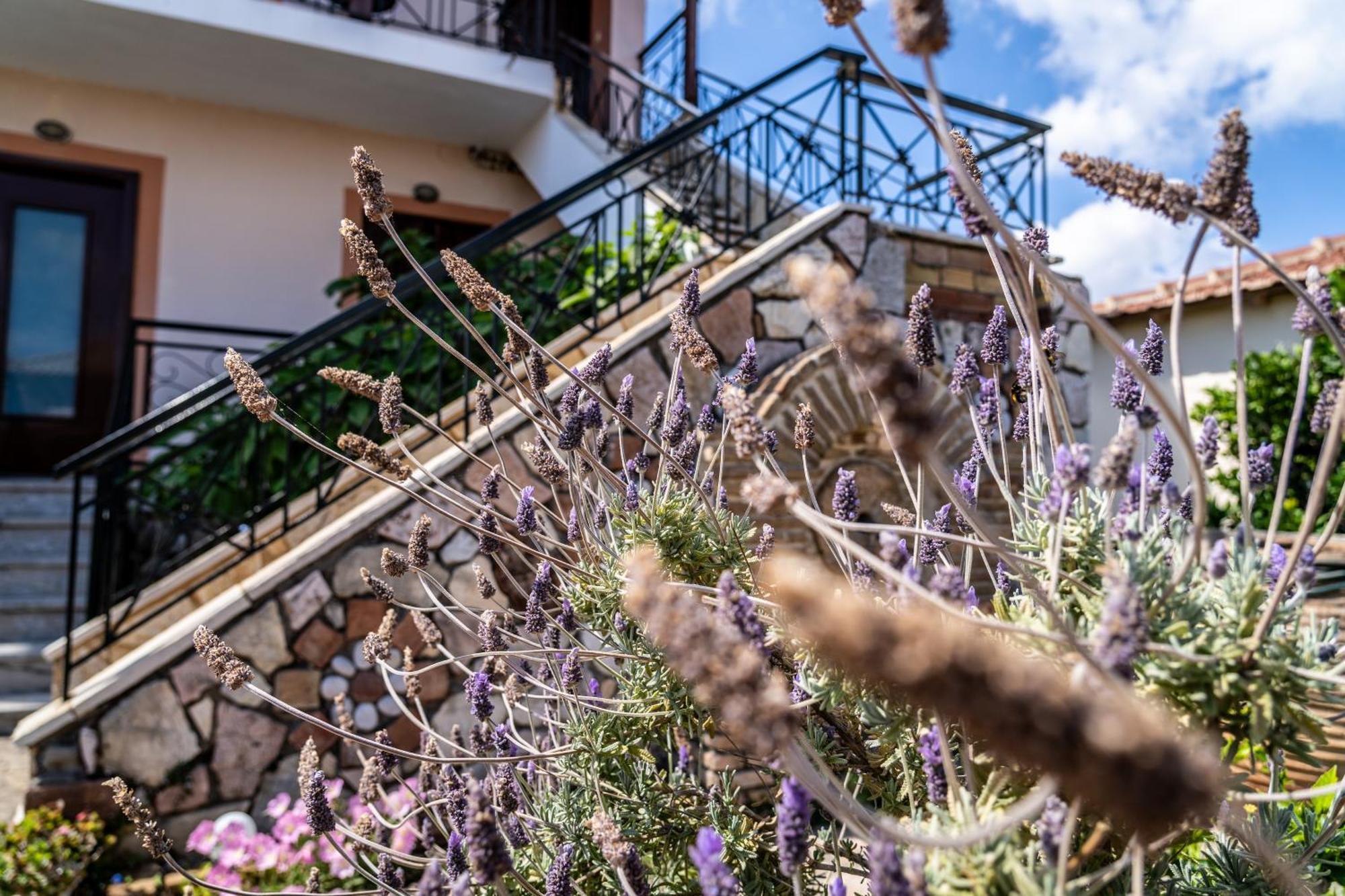 Koroni Family House With The Best View 84 Sqm Exteriör bild